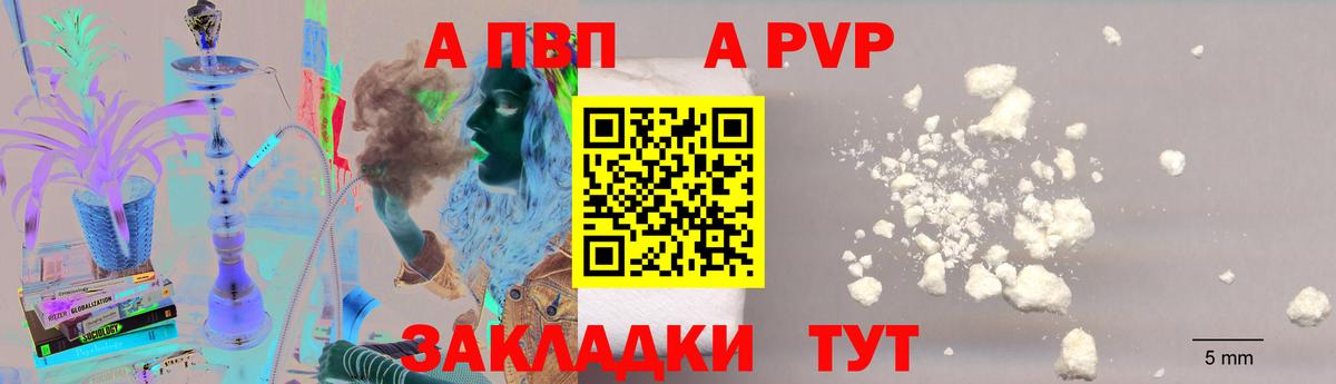 A PVP СК  Alfa_PVP крисы CK  Вход с VPN  Курчалой 