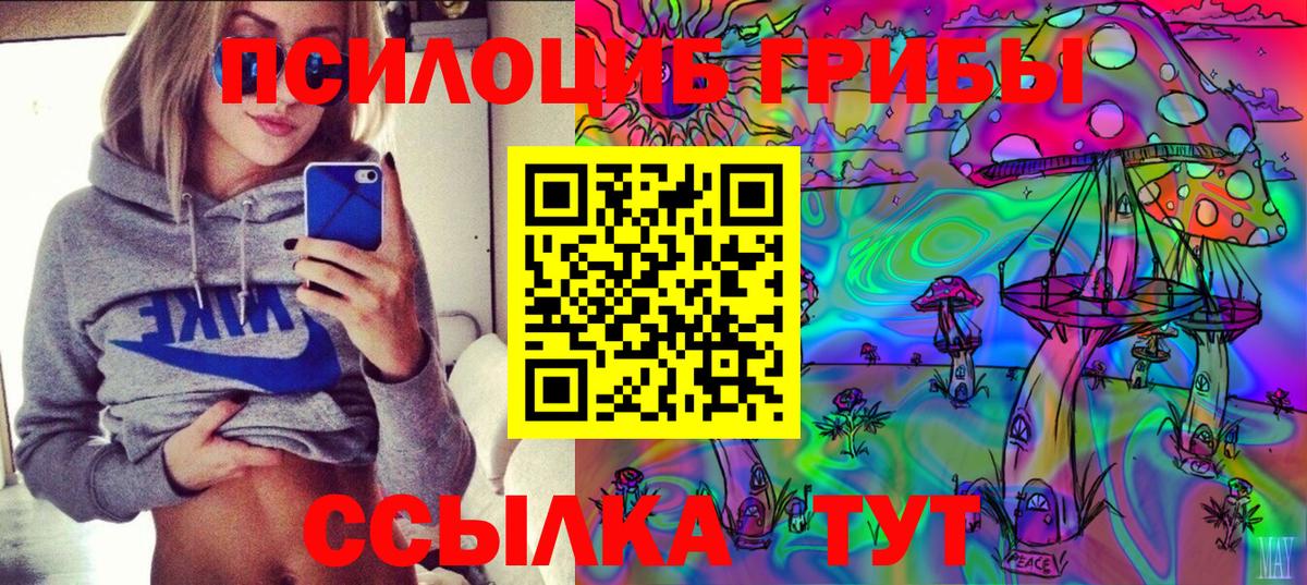Псилоцибиновые грибы мухоморы  Вход с VPN  Курчалой 
