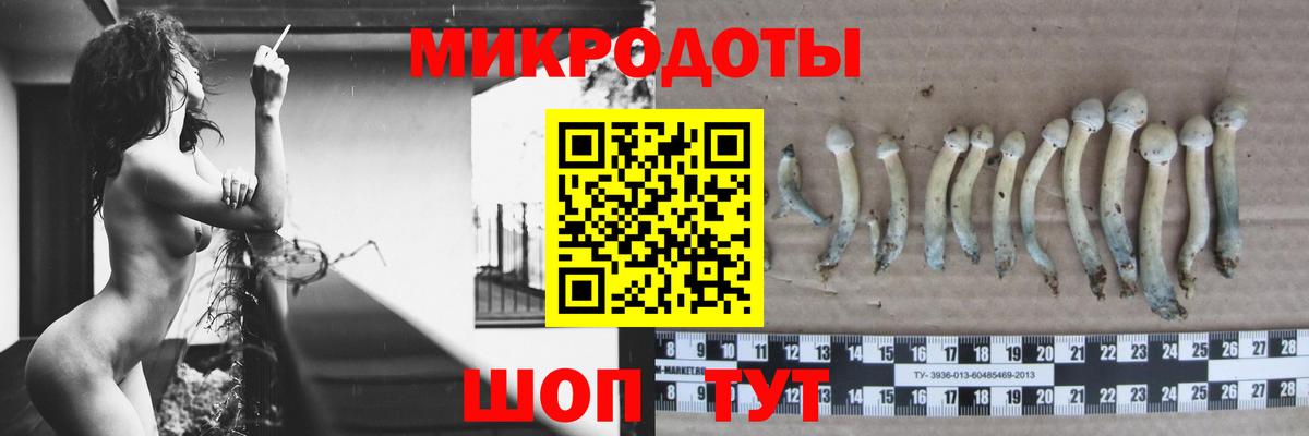 Галлюциногенные грибы мицелий Курчалой
