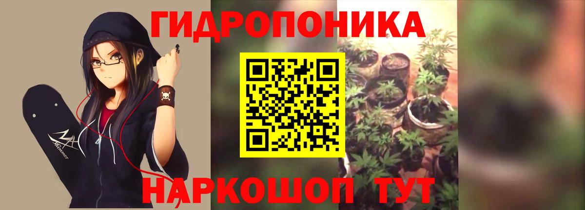 Бошки Шишки MAZAR  Бошки Шишки Bruce Banner  Курчалой  Марихуана Ganja  Бошки Шишки White Widow  Вход с VPN 